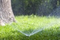 Lawn water sprinkler spraying water over grass in garden on a hot summer day. Automatic watering lawns. Gardening and environment Royalty Free Stock Photo