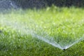 Lawn water sprinkler spraying water over grass in garden on a hot summer day. Automatic watering lawns. Gardening and environment Royalty Free Stock Photo