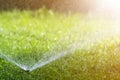 Lawn water sprinkler spraying water over lawn green fresh grass in garden or backyard on hot summer day. Automatic watering Royalty Free Stock Photo