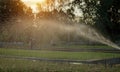 Lawn watered. Fresh green grass. Summer photo. Royalty Free Stock Photo