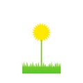 Lawn weed icon