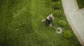 The lawnmower man mows the lawn the view from the top Royalty Free Stock Photo