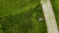 The lawnmower man mows the lawn the view from the top Royalty Free Stock Photo