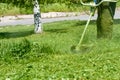 Lawnmower mowing high green grass on the lawn in the park