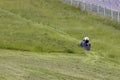 Lawnmower tractor works on a large area with lawn