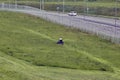 Lawnmower tractor works on a large area with lawn