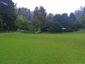 Lawns in Botanical Garden - Ooty