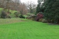 Lawns and Camelias at Holehird Gardens near Windermere, Lake District, Cumbria, England, UK