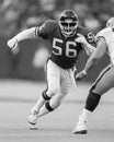 Lawrence Taylor