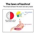 The laws of kosher. The break between the meat and dairy meals.