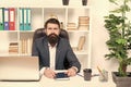 Lawyer agency. Man bearded hipster boss sit in leather armchair office interior. Boss at workplace. Manager formal