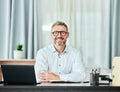 Lawyer, smile and portrait of business man in office for professional, planning and legal consultant. Advocate, pride Royalty Free Stock Photo