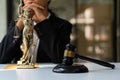 Lawyers` offices work on papers and tiger skins with hammers and scales of the Goddess of Justice on the legal advisory table.