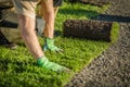 Lay Natural Grass Turfs Royalty Free Stock Photo