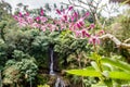 Layana waterfall in Ubud. Bali, Indonesia. Royalty Free Stock Photo