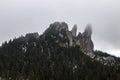 The layd\'s stones from Rarau Mountains