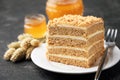 Layer cake Medovik, honey cake Royalty Free Stock Photo