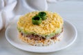 Layer canned tuna, fresh cucumber, boiled egg and cheese salad on white plate on a table. Selective focus. Close up Royalty Free Stock Photo