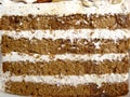 The layer of coffee almond cake