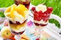 Layer fruit desserts on wooden tra