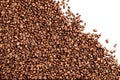 Layer of isolated Roasted Coffee beans, white negative space in the top right corner