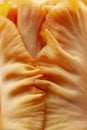 A layer of petals intertwine of an orange Tall Bearded iris