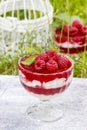 Layer raspberry dessert on garden party table Royalty Free Stock Photo