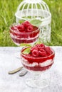 Layer raspberry dessert on garden party table.e