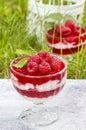 Layer raspberry dessert on garden party table. Lush grass in the Royalty Free Stock Photo
