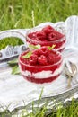 Layer raspberry dessert on garden party table. Royalty Free Stock Photo