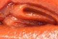 Layer of red tomato paste Royalty Free Stock Photo