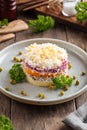 Layer russian salad herring under coat Royalty Free Stock Photo