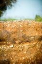layer section in the soil.cut of soil with several layers visible and dried grass Royalty Free Stock Photo