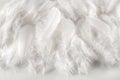 Layer of soft fluffy white feathers