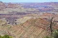 Layered Bands of Red Rock, Grand Canyon National Park, Arizona, USA Royalty Free Stock Photo