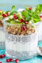 Layered chia pudding parfait with kiwi fruit, pomegranate, granola and yogurt Royalty Free Stock Photo