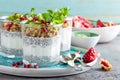 Layered chia pudding parfait with kiwi fruit, pomegranate, granola and yogurt Royalty Free Stock Photo