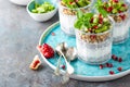 Layered chia pudding parfait with kiwi fruit, pomegranate, granola and yogurt Royalty Free Stock Photo