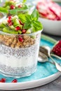 Layered chia pudding parfait with kiwi fruit, pomegranate, granola and yogurt Royalty Free Stock Photo