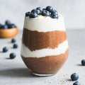 Layered chocolate chia pudding with yogurt and blueberries Royalty Free Stock Photo