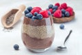 Layered chocolate and peanut butter chia seed pudding in glass, garnished with raspberry and blueberry, horizontal