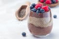 Layered chocolate and peanut butter chia seed pudding in glass, garnished with raspberry and blueberry, horizontal, copy space