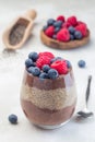 Layered chocolate and peanut butter chia seed pudding in a glass, garnished with raspberry and blueberry, vertical Royalty Free Stock Photo