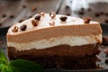 Layered chocolate souffle cake close-up. Royalty Free Stock Photo