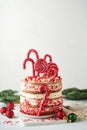 Layered Christmas gingerbread cake decorated with red Lolli pops, colored confetti on white cake stand, Christmas balls, fir