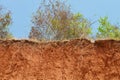 Layered cut of soil. Royalty Free Stock Photo