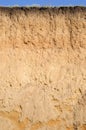 Layered cut of soil Royalty Free Stock Photo