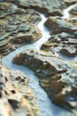 A layered 3D terrain map showing river systems with GIS data overlays.
