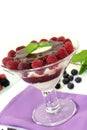 Layered dessert with blueberries and raspberries Royalty Free Stock Photo
