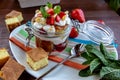 Layered Dessert of chocolate sponge cake, whipped cream or ricotta and fresh strawberries in a glass bowl. Trifle Royalty Free Stock Photo